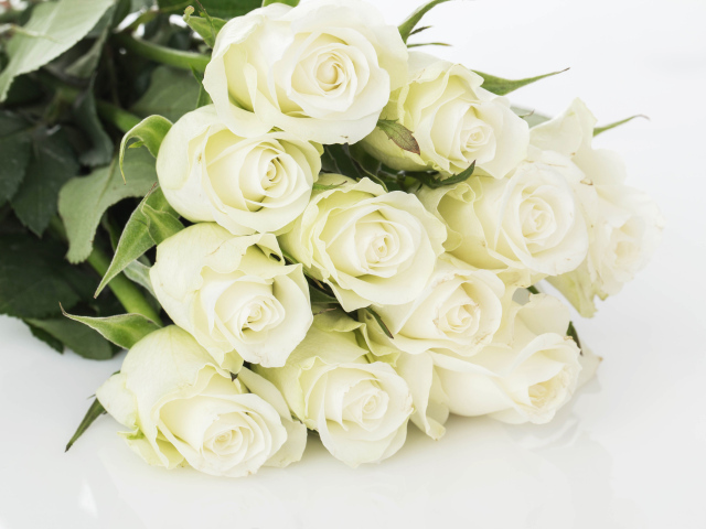 Букет шикарных белых  роз 