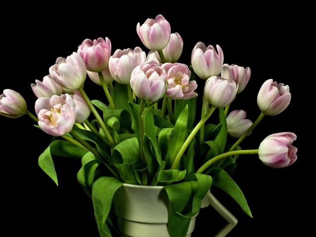 Букет розовых тюльпанов в вазе на черном фоне