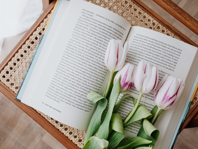 Букет розовых тюльпанов с книгой