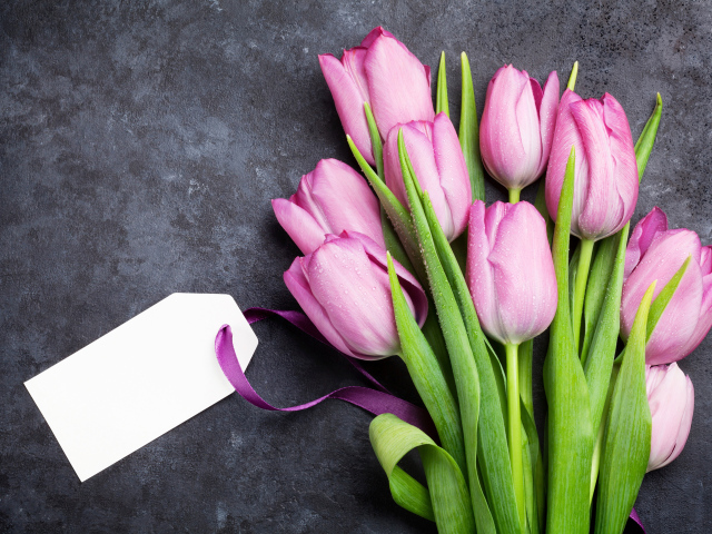 Букет розовых тюльпанов с открыткой на сером фоне