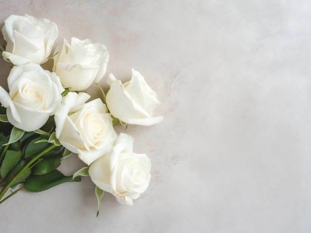 Букет белых роз на сером фоне