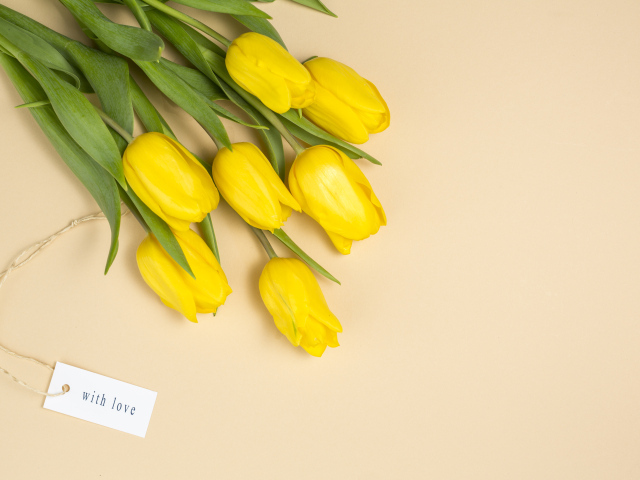 Букет желтых тюльпанов на бежевом фоне, шаблон 