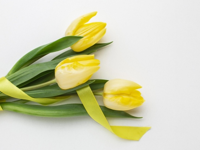 Букет желтых тюльпанов с ленточкой на сером фоне