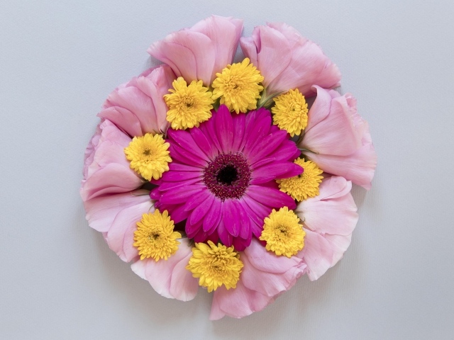 Круг из нежных цветов на сером фоне