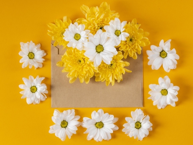 Конверт с желтыми и белыми хризантемами на желтом фоне