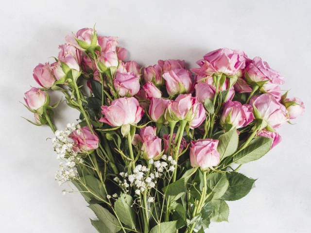 Большой букет розовых роз на сером фоне