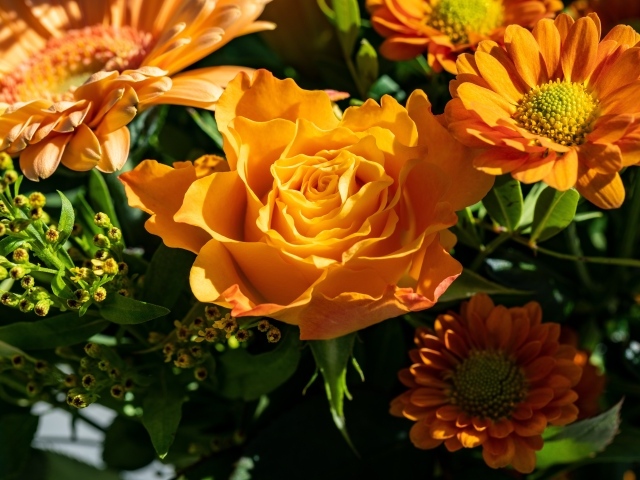 Оранжевые розы и хризантемы крупным планом