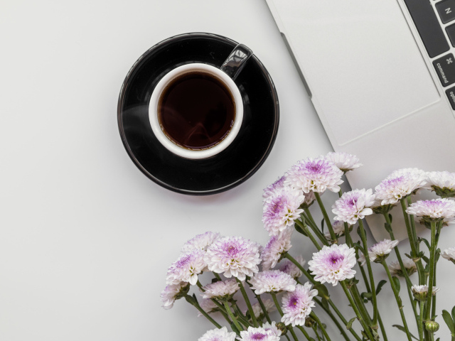 Розовые хризантемы с чашкой кофе и ноутбуком на столе