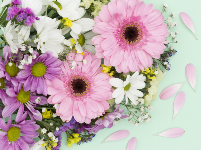 Розовые герберы и цветы хризантемы на голубом фоне