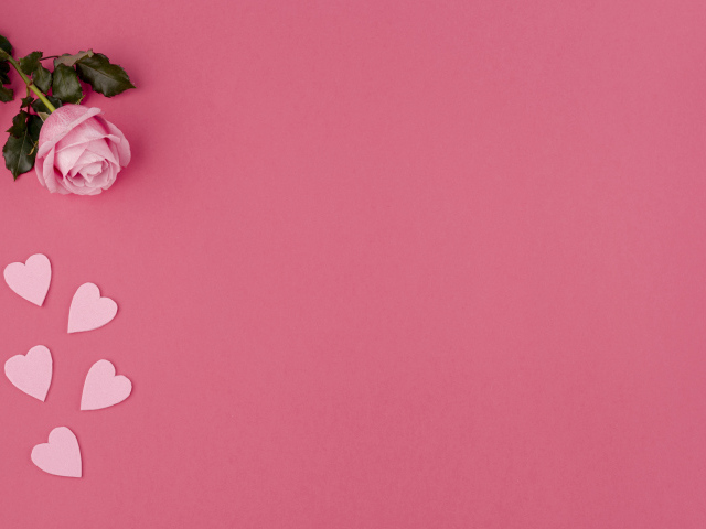 Роза с сердечками на розовом фоне, шаблон для открытки