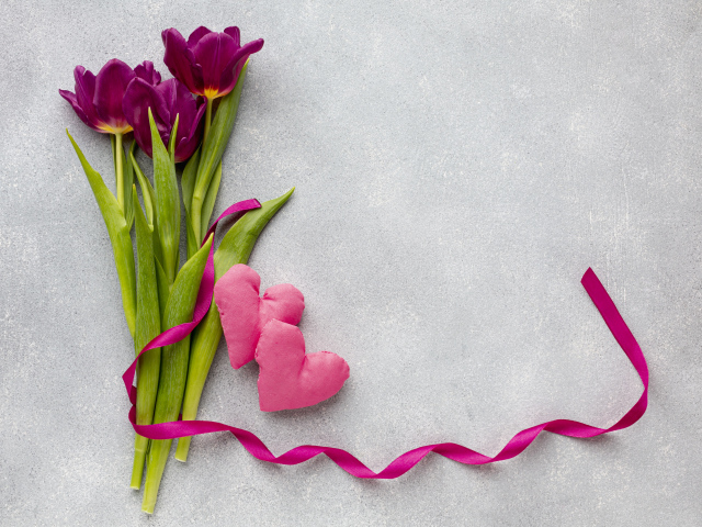 Три тюльпана, сердечко и лента на сером фоне