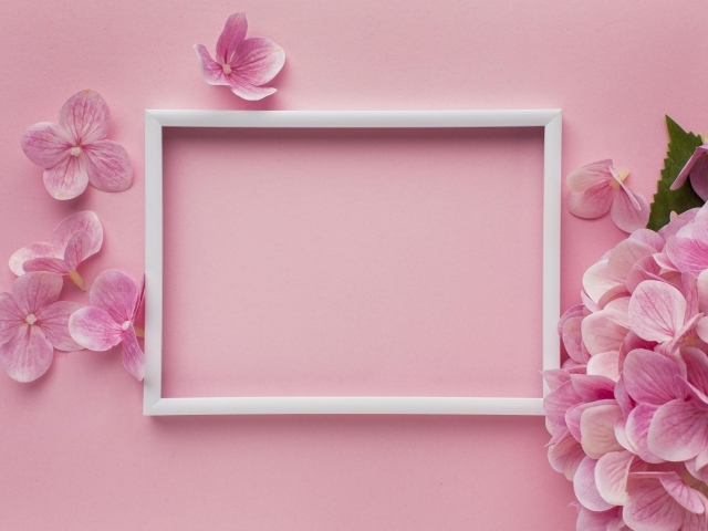 Белая рамка с цветами гортензии на розовом фоне, шаблон для открытки