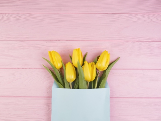 Желтые тюльпаны в конверте на розовом фоне