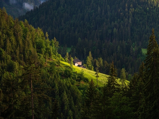 Дом на крутом покрытом лесом горном склоне