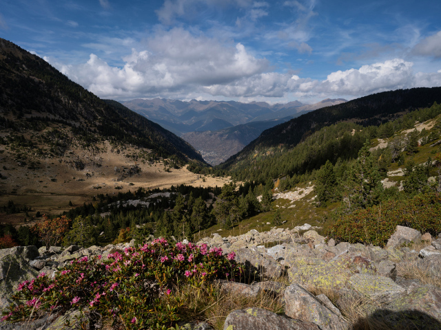 Покрытые зелеными деревьями горы под красивым небом
