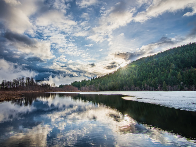 Рассвет яркого солнца над лесом у озера