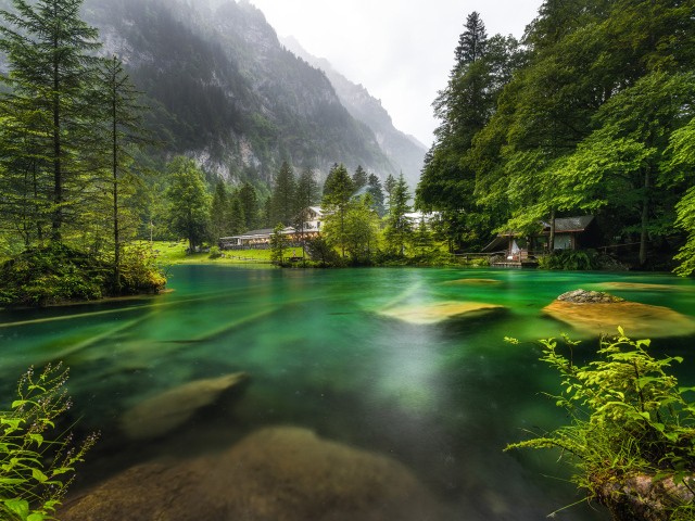 Озеро у подножия Швейцарских Альп