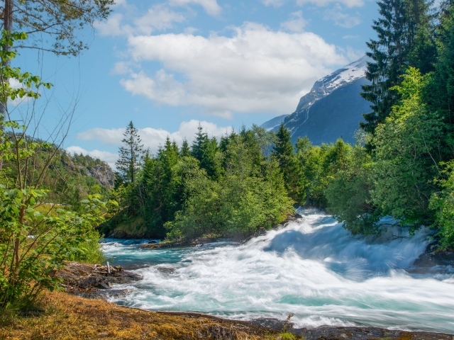 Бушующая быстрая река в лесу