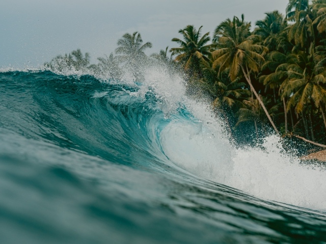 Высокая волна с пальмами на берегу моря