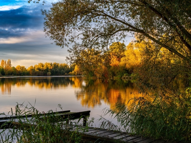 Вид на озеро и деревья  в лучах солнца осенью