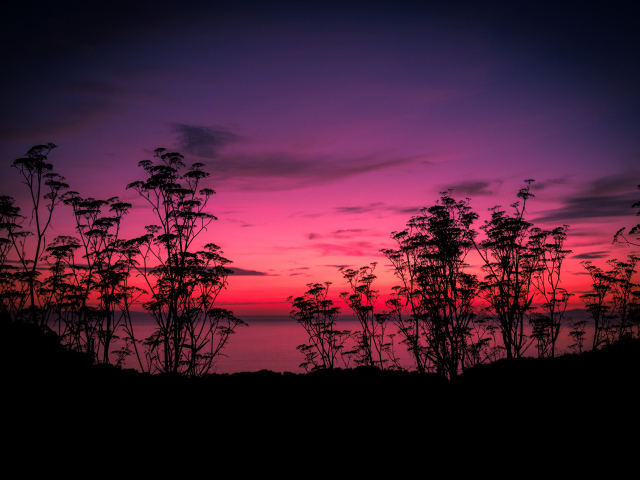 Розовый закат у тихого озера