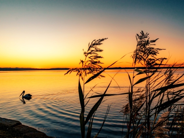 Тихий закат солнца над озером