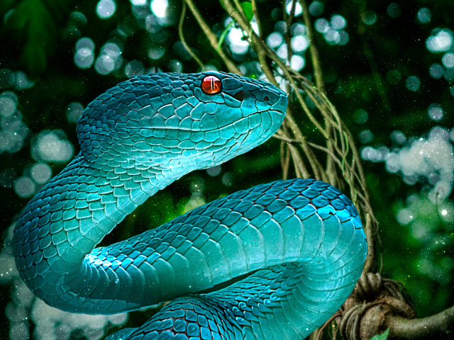 Красивая зеленая змея на Новый год 2025