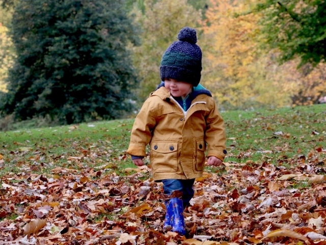 Маленький мальчик идет по сухой листве в парке
