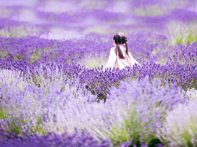 Маленькая девочка гуляет по лавандовому полю