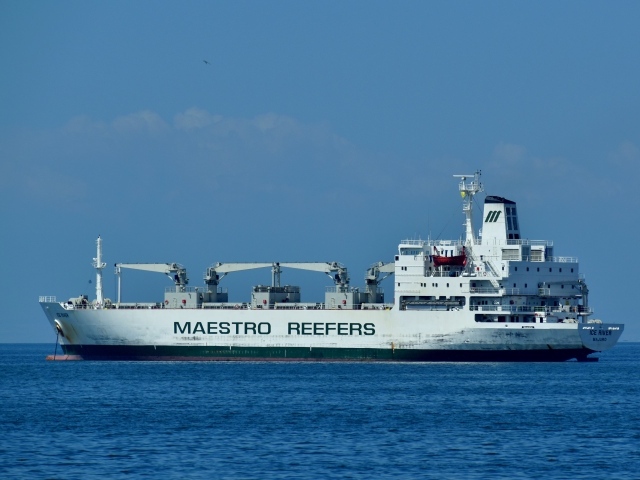 Большой грузовой корабль Maestro reefers  в море