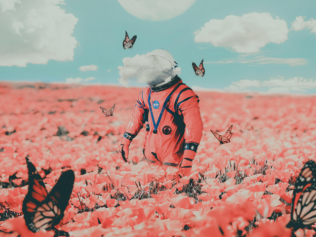 Астронавт на поле с красными маками и бабочками