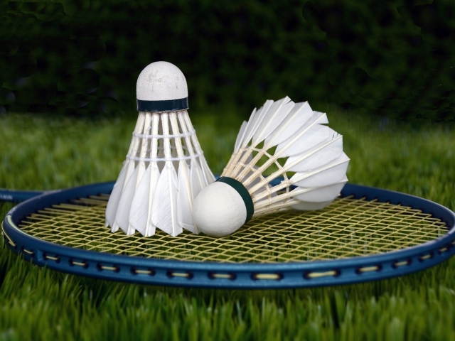 Два волана и ракетка для игры в бадминтон на траве