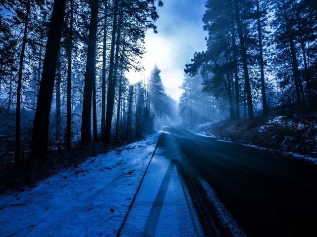 Холодная покрытая снегом дорога в лесу