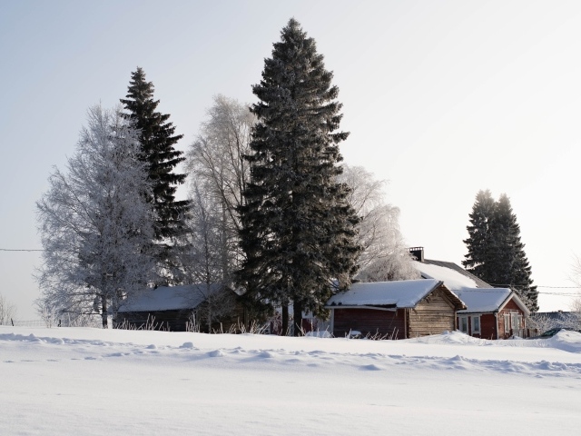 Заснеженные деревья и дома зимой