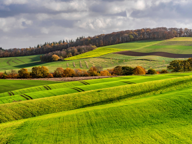 Покрытые зелеными растениями поля в Германии