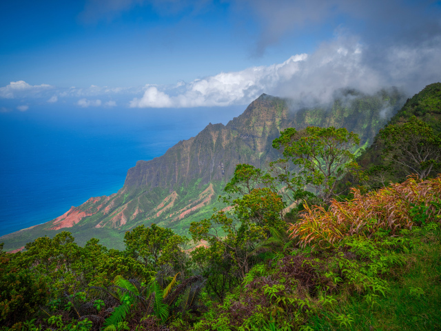 Покрытые зеленью горы на Гавайских островах, США
