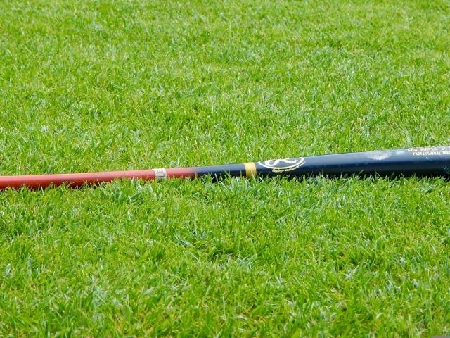 Бейсбольная бита на зеленой траве 