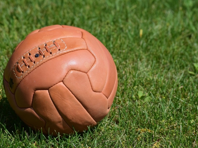 Коричневый кожаный мяч на зеленой траве 