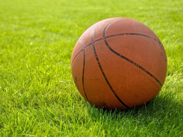 Коричневый кожаный баскетбольный мяч на зеленой траве