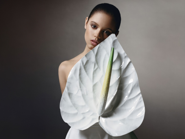 Милая девушка актриса Дженна Ортега с белым цветком