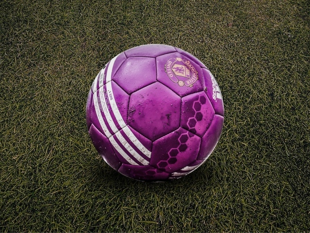 Фиолетовый футбольный мяч на траве