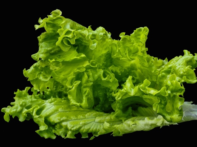 Зеленые листья салата на черном фоне