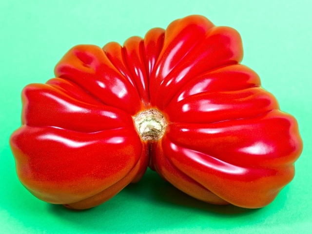 Большой спелый красный томат на зеленом фоне