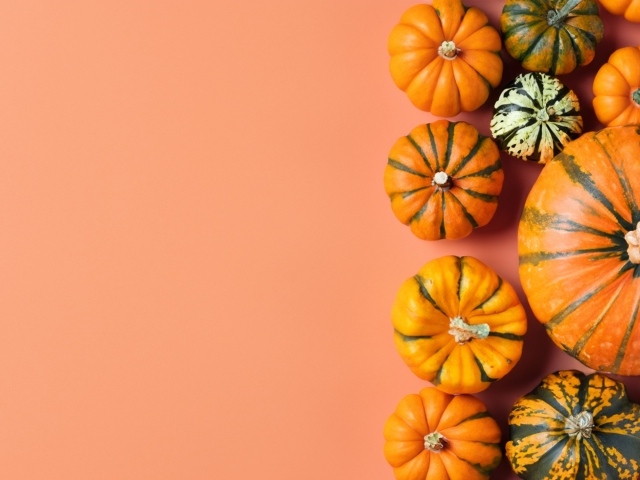 Тыква разного размера на оранжевом фоне