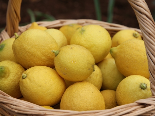 Много спелых желтых лимонов в корзине на столе