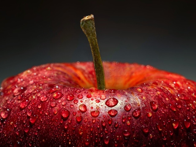 Красное яблоко в каплях воды на сером фоне