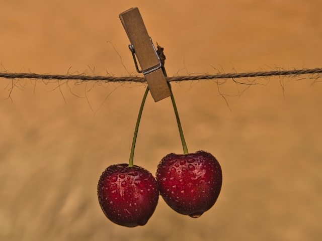 Две мокрые черешни с прищепкой на веревке