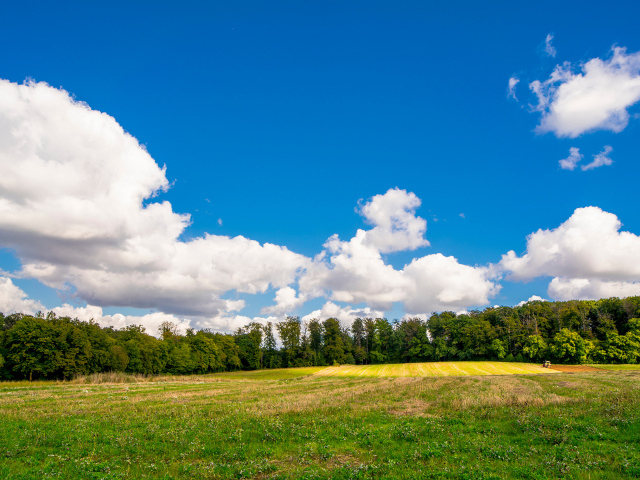 Белые густые облака над зеленым полем