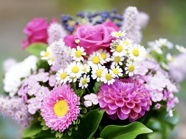 Красивый яркий букет осенних цветов