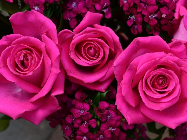 Букет розовых роз с гвоздикой